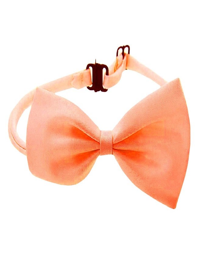 Nema NM Nema Fashion Dog Bowknot Tie - Orange - Image 3